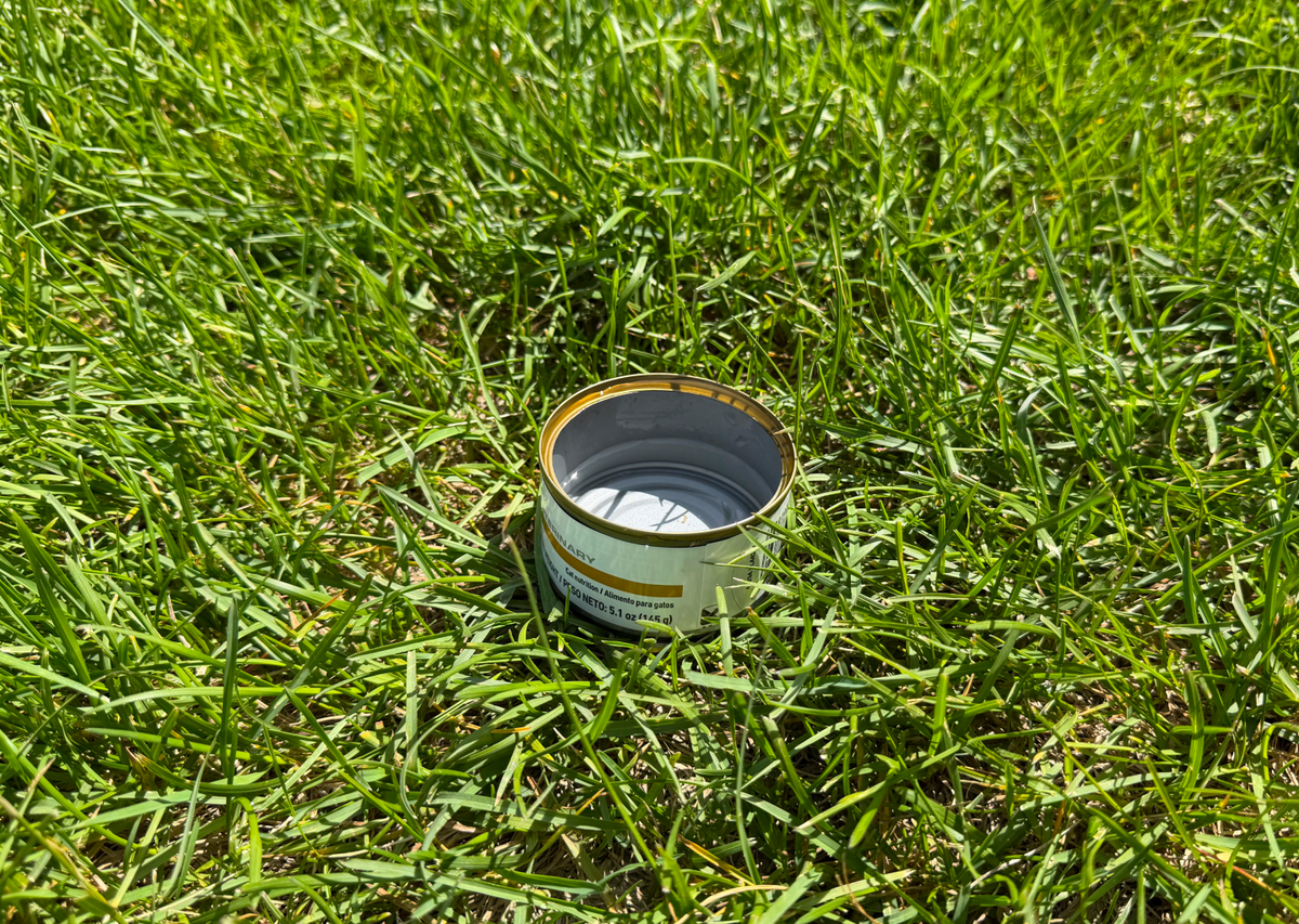 How Much Water Do Sprinklers Use? A Homeowner Guide to Cutting Waste Without a Brown Lawn