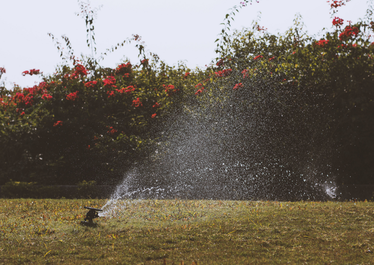 How Often Should You Water a Lawn in a Heat Wave?