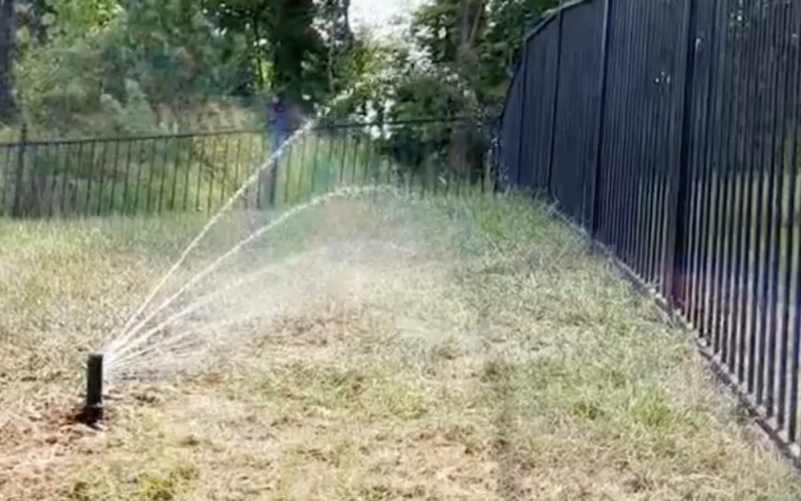 review image of Irrigreen smart sprinkler precisely spraying water next to fence